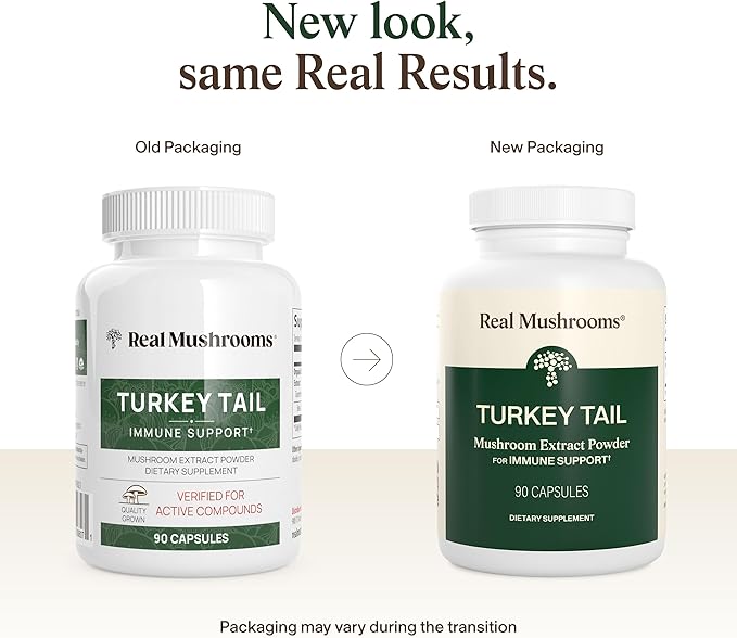 Real Mushrooms Turkey Tail Capsules – Organic Mushroom Extract for Wellness &amp Daily Rhythm – Vegan Non-GMO No Fillers Turkey Tail Extract – 90 Count Mushroom Supplement
