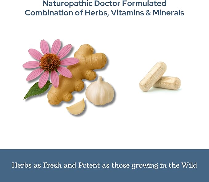 Eclectic Herb - Vitabiotic Capsules | Immune Support | Natural Herbal Multivitamin Supplement | Freeze Dried Organic Non-GMO Vegan Whole Herb (150 CT | 750 mg)