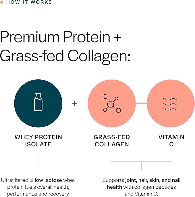 Gainful Collagen Whey Protein Powder 21g Protein per Serving Unflavored Supports Muscle Recovery Joint Health and Skin Hydration with Grass-Fed Collagen Peptides Vitamin C 14 Servings