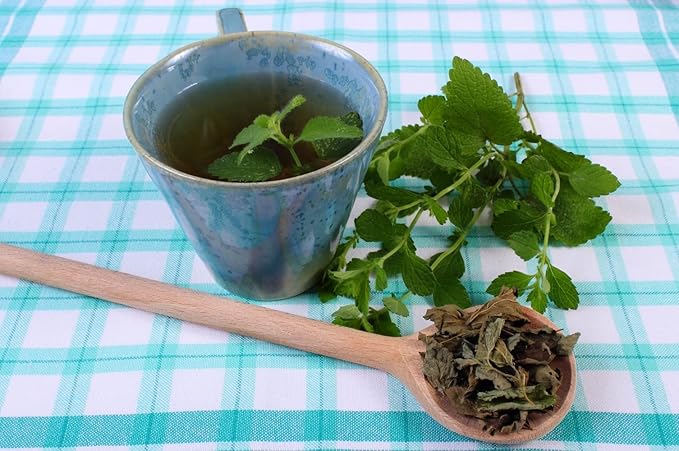 Health Embassy Lemon Balm Leaf | Melissa Officinalis L | Herbal Tea (100g)