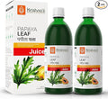 KRISHNA'S HERBAL &amp AYURVEDA Papaya Leaf Juice - Fresh Papaya Leaves Helps to Boost platelets Count 500 ml (Pack of 2)