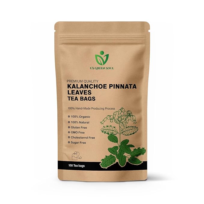 Kalanchoe Pinnata Leaves Tea Bags 50 Tea Bags Healthy Organic Leaves Herbal Tea