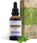 Secrets of the Tribe Andrographis Alcohol-Free Liquid Extract Fah talai jone Chuan Xin Lian Andrographis paniculata Tincture Supplement (2 FL OZ)