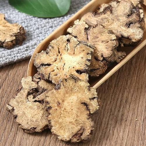 500 Gram Premium Rhizoma ChuanxiongChuanxiongSzechwan Lovage RhizomeChuanxiong RhizomaTeaChuanxiong TeaHerbal Supplements.