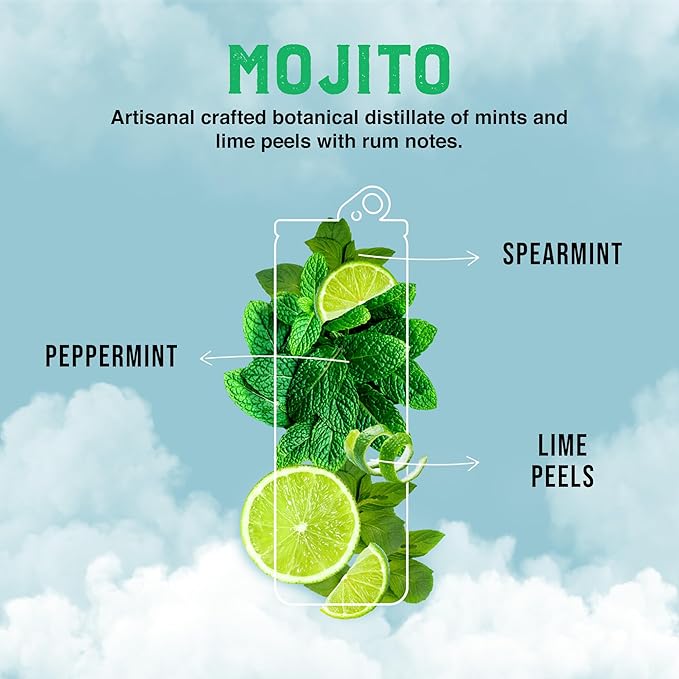 CLEVER - Mojito Nonalcoholic Mocktails for Any Occasion Sugar-Free Beverages with Botanical Extracts Low-Calorie Mocktails Non-alcoholic Drinks with 70 Calories Pack of 12 (12 oz Ea)
