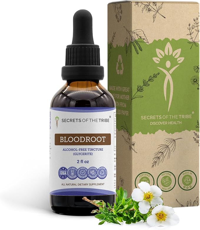 Secrets of the Tribe Bloodroot Tincture Alcohol-Free Extract Responsibly farmed Bloodroot (Sanguinaria Canadensis) Dried Root Tincture Supplement (2 FL OZ)