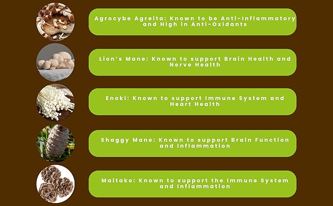 Hongo Mushroom Power - Perfect 10 Mushroom Complex Powder - Lions Mane Reishi Cordyceps Chaga Turkey Tail Maitake Supplements - for Immunity Energy Memory &amp Focus - (60 Servings)