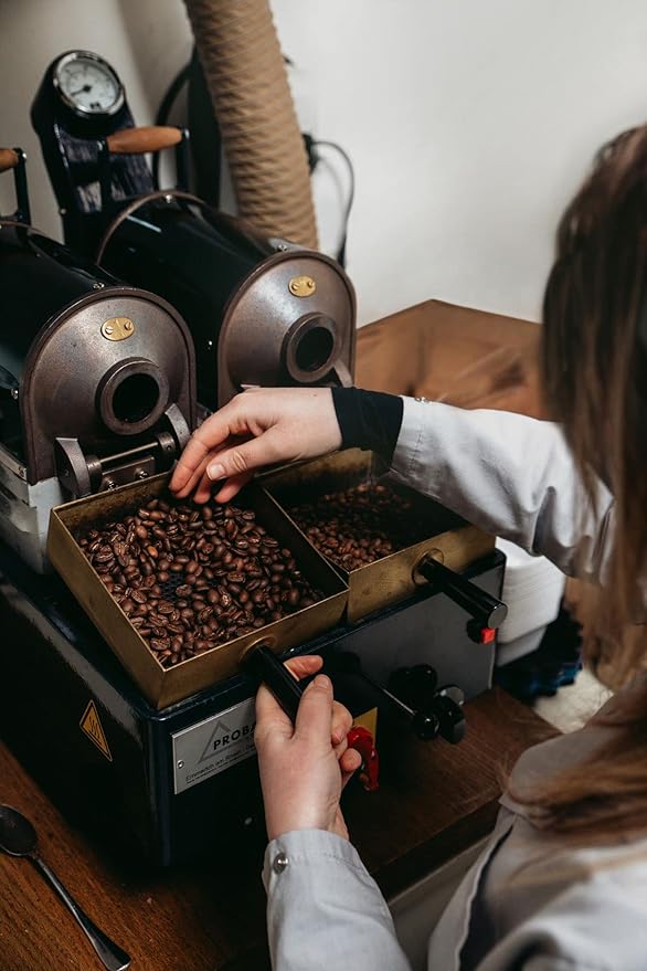 Bristot Bio Organic Italian Whole Espresso Beans – Medium Roast Coffee – Smooth &amp Aromatic with Notes of Spices Caramel &amp Sandalwood – 2.2 lb (1kg) Certified USDA Organic