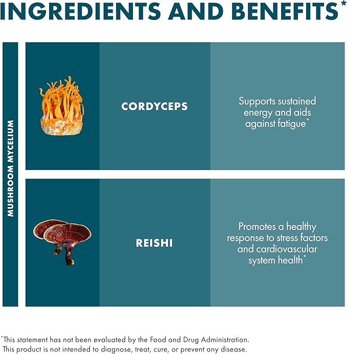 Host Defense CordyChi Capsules - Energy &amp Immune Support Supplement - Cordyceps &amp Reishi Mushroom Supplement for Relaxation &amp Respiratory Support - Aids Against Tiredness - 60 Capsules (30
