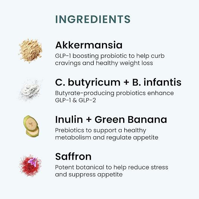 The Wellness Company Appetite – GLP1 Support Craving Suppression Hunger Control Microbiome Balance - Akkermansia Chicory Saffron Green Banana Starch