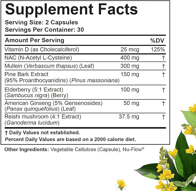 Betterbrand BetterLungs Lung Support Supplement with NAC Mullein Leaf for Smokers Respiratory Health Formula with Elderberry Vitamin D Ginseng Reishi Mushroom - 60 Capsules - Pack of 2