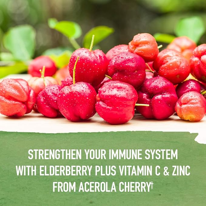 Garden of Life Organics Elderberry Zinc Immune Support for Adults and Kids 12 and Older Organic Cough &amp Mucus Immune Syrup with Ivy Leaf Vitamin C and Echinacea No Added Sugars 5 Fl oz