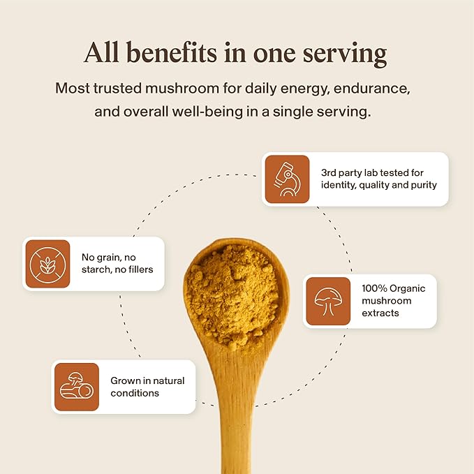 Real Mushrooms Cordyceps Mushroom Powder - Organic Cordyceps Powder Mushroom Energy and Wellness Support - Rich in Beta Glucans - Non-GMO Vegan Supplement 60 Servings