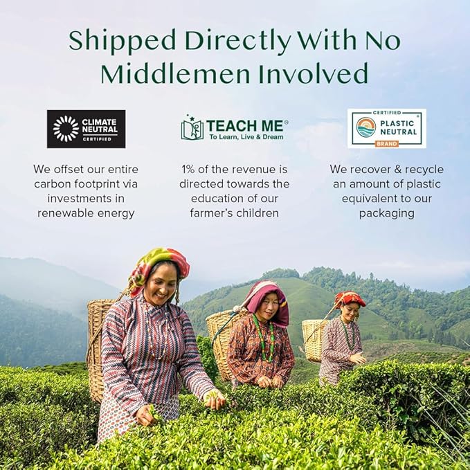 VAHDAM High Mountain Oolong Tea Bags (100 Count) Non GMO Gluten Free | High Grown Oolong Tea Leaves - Light &amp Floral | Resealable Ziplock Pouch