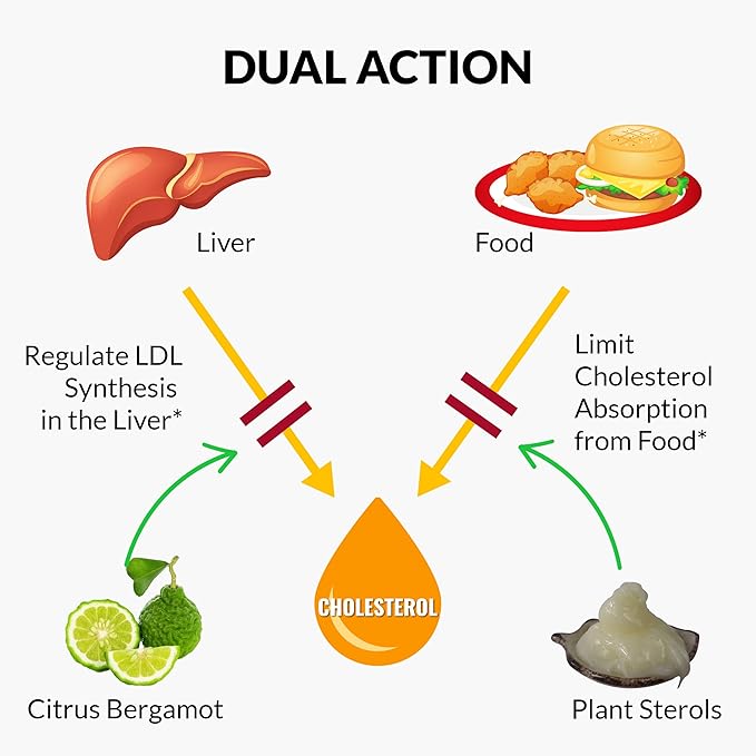 UpNourish Plant Sterols Citrus Bergamot Supplement for High Cholesterol with CoQ10 Omega 3 Olive Leaf Turmeric Curcumin Black Garlic and Niacin - 120 Softgels