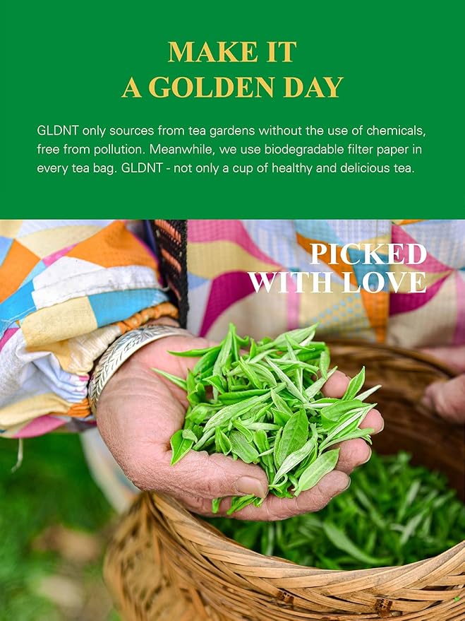 GLDNT Organic Decaf Green Tea Organic Decaffeinated Green Tea Loose leaf Delicate &amp Smooth Flavor Hot &amp Iced Tea 16 Ounce