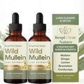 2Pcs Wild Mullein Leaf ExtractGinger &amp Lemon for Lung Cleanse Vegan Non-GMO (2 Bottle)