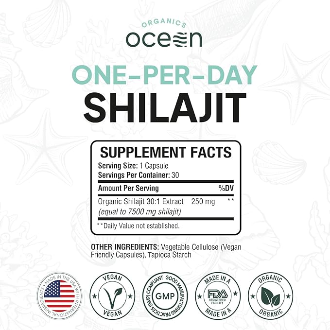 Organics Ocean One-Per-Day Shilajit for Men and Women - Natural and Potent Shilajit Supplement for Age-Defying Bone Strength Hormone Support and More - 6 Bottles Capsules
