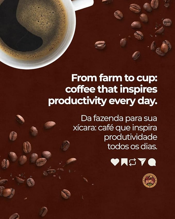 Brazilian Gold Coffee Samba Gourmet Brown Sugar Chocolate &amp Brazil Nuts Low Acidity 100% Arabica Coffee Bold Roast Ground 12 oz