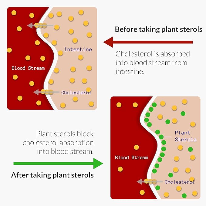 UpNourish Plant Sterols Citrus Bergamot Supplement for High Cholesterol with CoQ10 Omega 3 Olive Leaf Turmeric Curcumin Black Garlic and Niacin - 120 Softgels