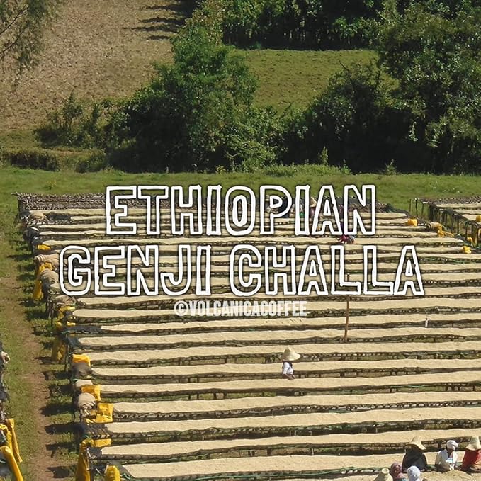 Ethiopia Genji Challa Coffee Ground Fresh Roasted 16-ounce
