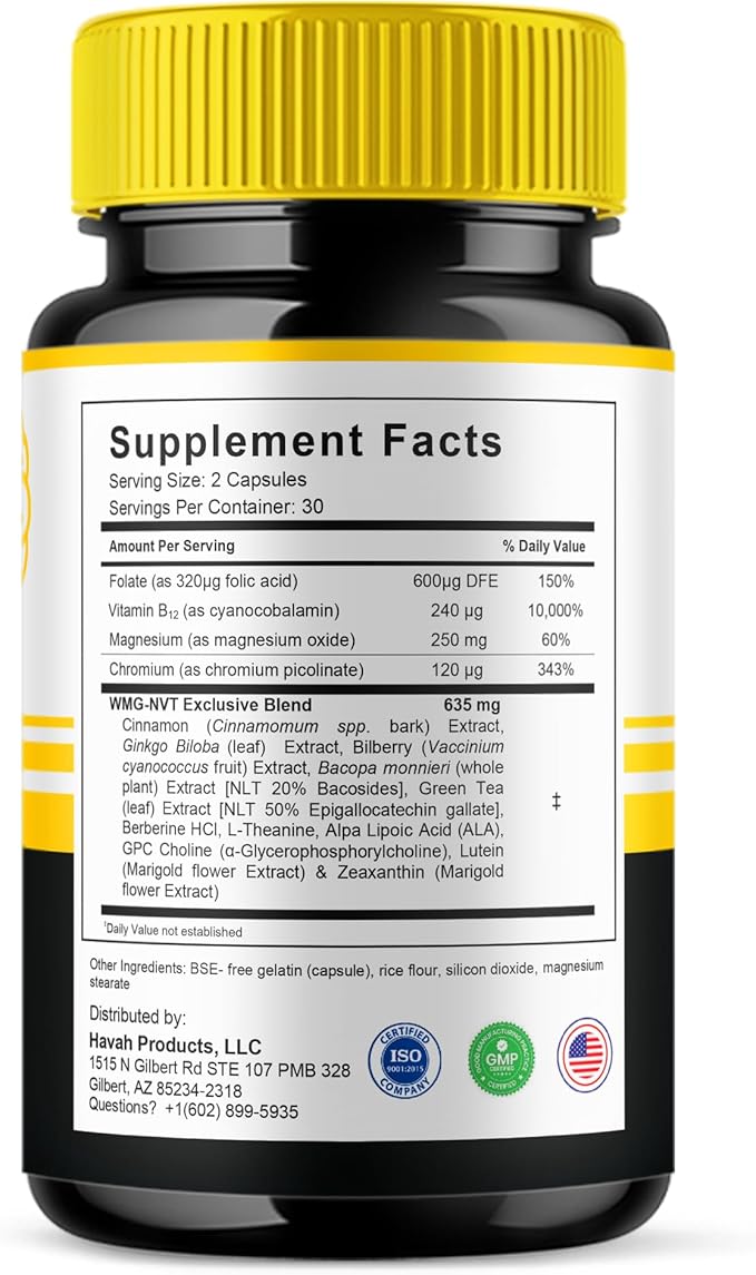 BLUE VIBE Mind Boost Premium Health &amp Wellness Nootropic Supplement MindBoost Advanced All Natural Health Management &amp Overall Wellness Support Supplement Formula Pills (2 Pack - 120 Capsules