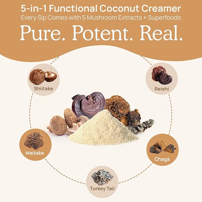 Real Mushrooms Functional Coconut Creamer with Reishi Lucuma &amp Ceylon Cinnamon – Organic Dairy-Free – Vegan Coffee Creamer for Smoothies &amp Drinks – 90 Servings Organic Cream Coconut Powder