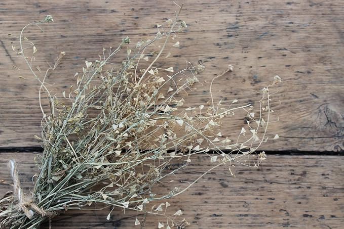 Health Embassy Shepherds Purse Herb | Capsella bursa-pastoris | Herbal Tea (100g)