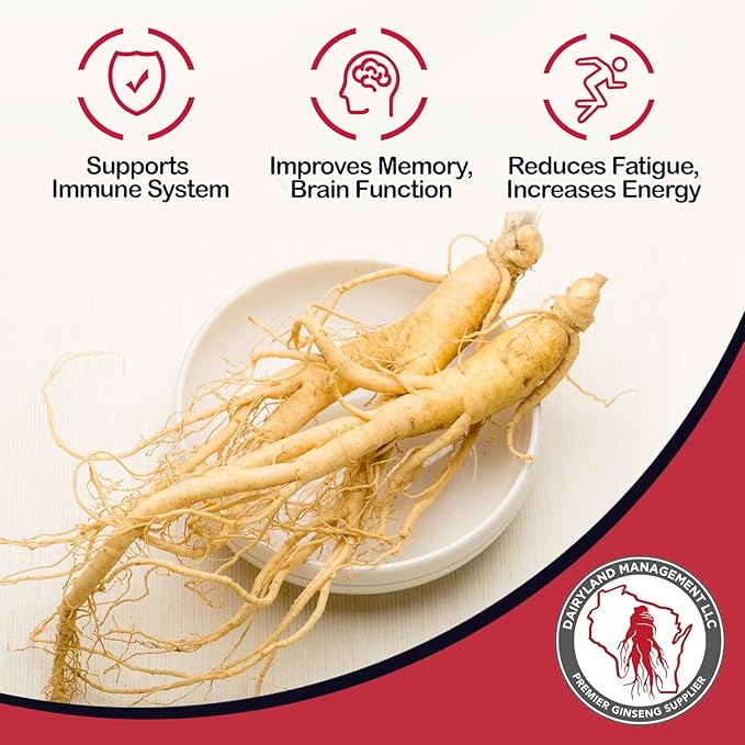Dairyland American Ginseng Roots 西洋参 - 4 oz Pack of Wisconsin Ginseng Root - Authentic American Ginseng - Non-GMO Gluten Free Whole Ginseng - Use This Herbal Supplement in Soup Tea Congee
