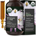 Fantastic Fungi Mushroom Extract Drops - Immunity Elixir with Turkey Tail Mushroom Extract Maitake Elderberries Chaga &amp Astragalus - 5-in-1 Organic Immune Support Supplement 30 Servings 1 fl