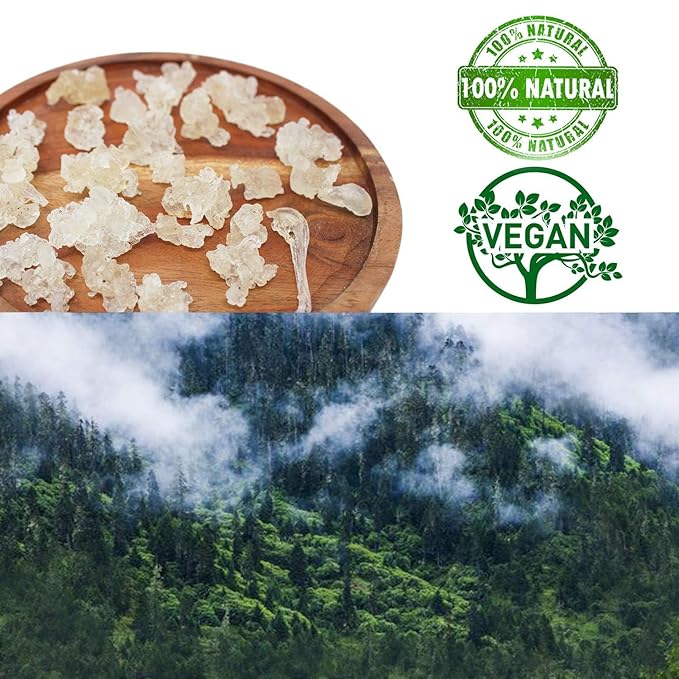 DABC OAK LAND 2 Pounds Natural Wild Tragacanth Gum Snow Swallow (Xueyan) 補水保濕 天然野生雪燕 2 X 16OZ bags Packed in USA