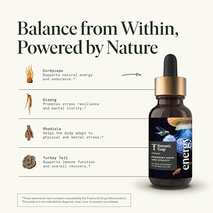 Fantastic Fungi Cordyceps Mushroom Tincture Drops - 4-in-1 Stress Support &amp Energy Elixir with Ginseng Turkey Tail &amp Rhodiola - Organic Mushroom Extract Liquid 30 Servings 1 fl oz