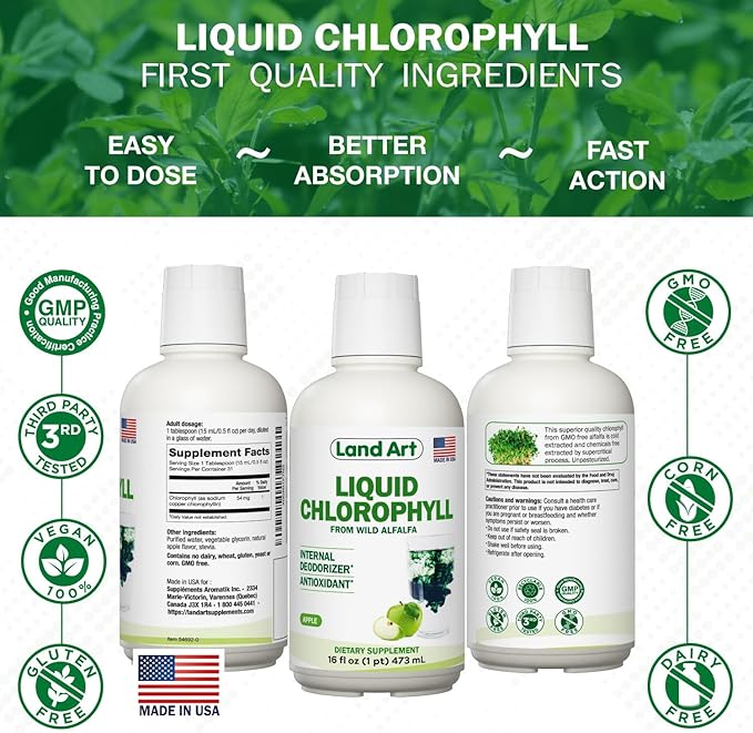 Liquid Chlorophyll Apple Flavored – Cold Extracted from Wild Non-GMO Alfalfa - Alkaline - Natural Body Deodorant – Antioxidant - 16 fl oz