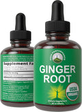 USDA Organic Ginger Root Extract Liquid Drops. Zero Sugar Non Bitter Vegan Ginger Oil Supplement for Immune Digestive + Gut Support. High Bioavailability Gluten Free for Women and Men. Take Orally