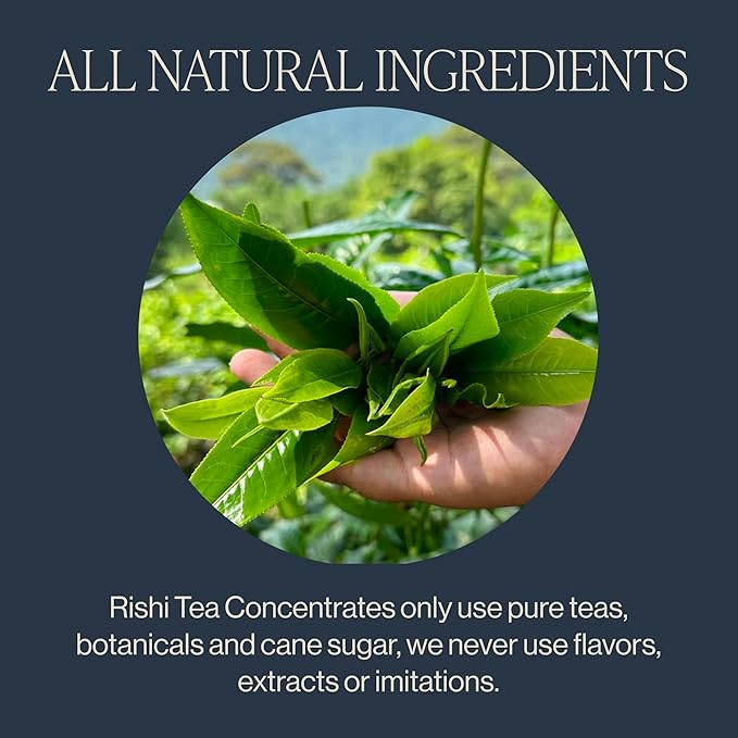 Rishi Tea Latte Concentrate Beverage Variety Pack - Organic Black and Caffeine-Free Chai Latte &amp London Fog Latte Sampler Easy-to-Serve Hot or Iced - 32 fl oz Carton 8 Servings (Pack of 3)