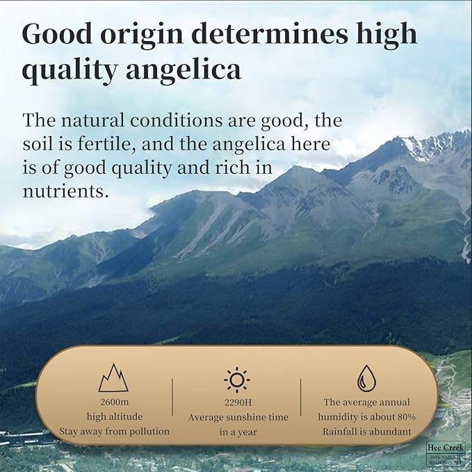Hee Creek Large Angelica Root Slices 7.05oz/200g Dang Gui Tea Chinese DriedAngelica Sinensis Dong Quai Natural Herbal Tea 当归 當歸