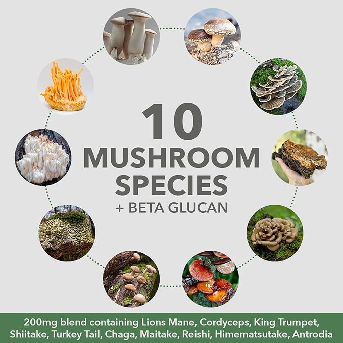 PlantFusion Mushroom Protein Powder - 3 in 1 Vegan Protein Powder Mushroom Supplement and Adaptogen Supplement - Support Mental Focus Immunity and Recovery - Vanilla 1lb