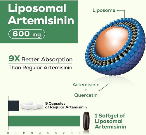 900 mg Liposomal Artemisinin for Maximum Absorption Sweet Wormwood Extract(Artemisia Annua) with Quercetin Phytosome 200 mg 120 Softgels