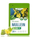 HerbOLITHIC Mullein Tea Bags for Respiratory Health Support Lung Cleanse &amp Detox 8-in-1 Herbal Tea with Monk Fruit Peppermint Extract for Throat Soothing Support 30 Teabags - Té de Gordolobo