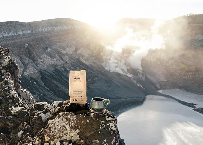 Buena Vida Speacialty Coffee - Cerros de Tarrazú Ground - Costa Rican Regenerative Coffee (12 oz)