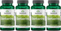 Swanson Berberine HCl Cardiovascular and Metabolic Health Supplement for Health-Conscious Adults - Non-GMO Vegan Gluten-Free (60 Vegan Capsules 400 mg Each 4 Pack)