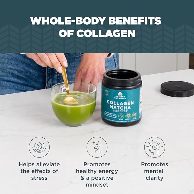 Ancient Nutrition Matcha Powder with Collagen Collagen Matcha with MCTs &amp Ashwagandha for Energy Metabolism Skin Hair and Gut Health 20 Servings (Pack of 2)
