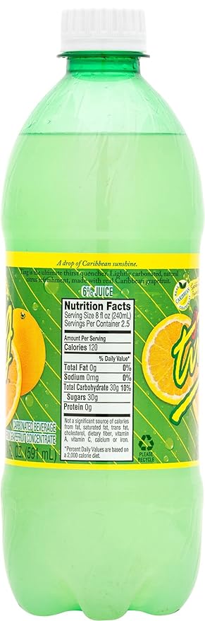 Ting Lightly Carbonated Soda 20 Oz (Pack of 24)