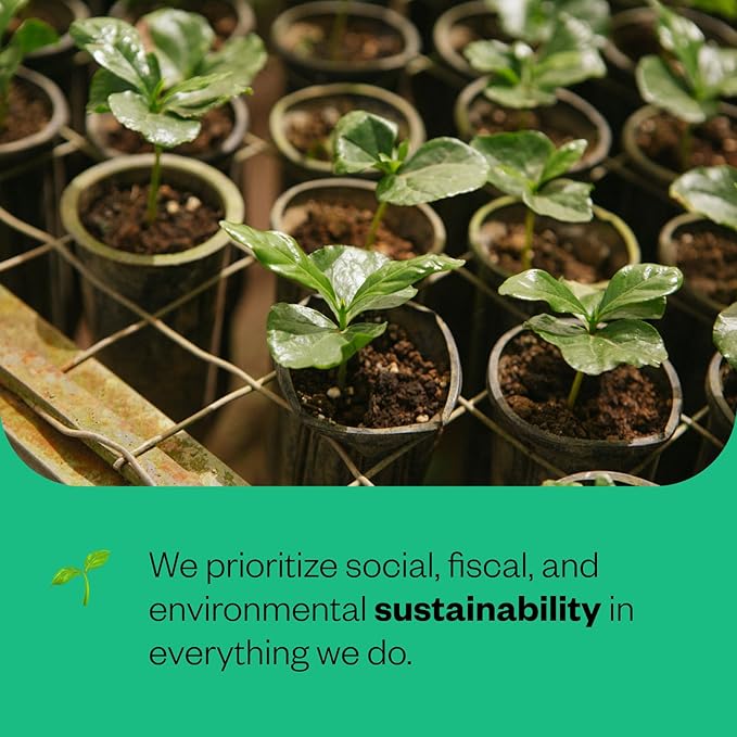 Counter Culture - Roast Packs (2 Bags Medium Roast)