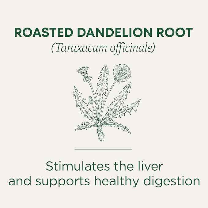 Traditional Medicinals Tea Organic Roasted Dandelion Root Supports Kidney Function &amp Healthy Digestion 96 Tea Bags (6 Pack)