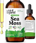Wild &amp Organic Sea Moss Liquid Drops - Immune Support - Irish Sea Moss and Bladderwrack Tincture - Multimineral Chondrus Crispus Supplement - Vegan Sugar &amp Alcohol-Free - 2 fl oz