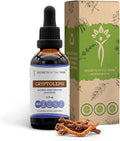 Secrets of the Tribe Cryptolepis Tincture Alcohol-Free Extract High-Potency Herbal Drops Tincture Made from Wildcrafted Cryptolepis Sanguinolenta 2 oz