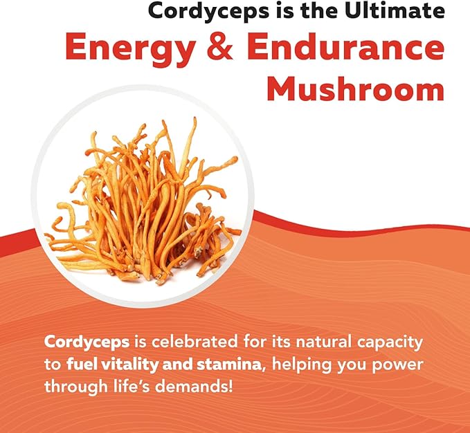 Organic Cordyceps Mushroom Extract - 70% Beta Glucans - Highest Active Nutrient Levels Max Potency Cordyceps Tincuture US Grown + Ultrasonic Extraction - Performance Immunity and Energy - 8 oz.
