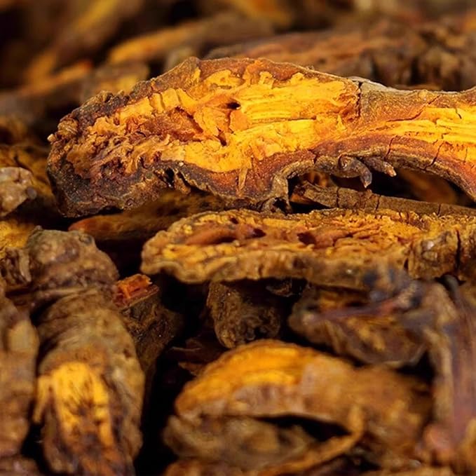 Coptis Chinensis (Huang Lian) Root Whole Pieces 1.06oz (30g) - Dried Whole Herb with Intensely Bitter Taste Natural Sun-Dried Herb for Traditional Use Herbal Tea Additive-Free