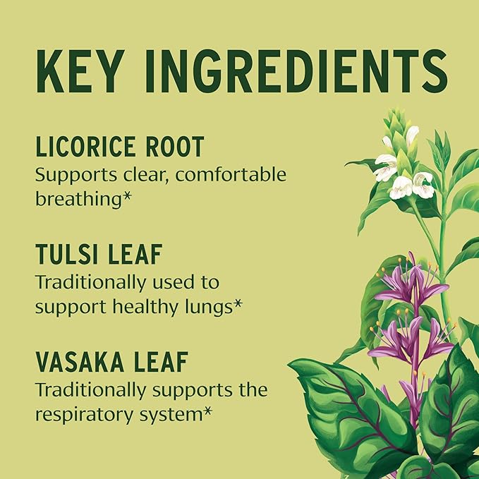Banyan Botanicals Lung Formula – Organic Respiratory Support for Lung Health – Plant-Based Blend with Licorice Tulsi Leaf and Other Lung Health Herbs – 90 Tablets – Non GMO Fair for Life Vegan